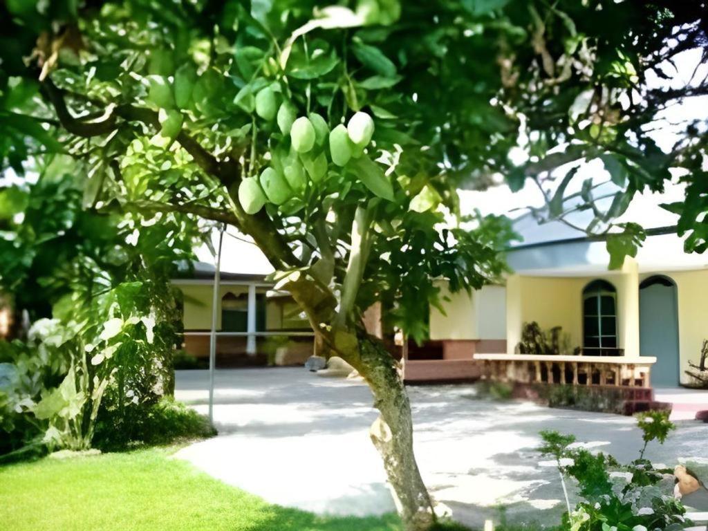 Hotel Indra Djaya Cisarua Bagian luar foto